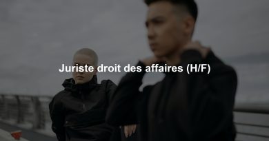 Juriste droit des affaires (H/F)