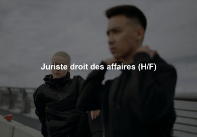 Juriste droit des affaires (H/F) Juriste droit des affaires (H/F)