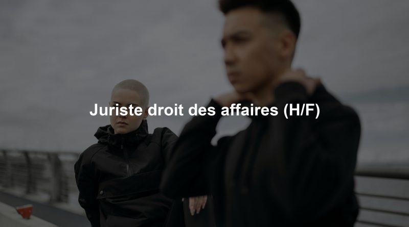 Juriste droit des affaires (H/F)