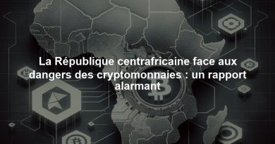 La République centrafricaine face aux dangers des cryptomonnaies : un rapport alarmant