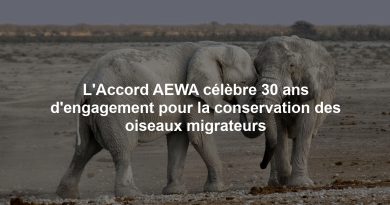 L'Accord AEWA célèbre 30 ans d'engagement pour la conservation des oiseaux migrateurs