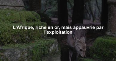L'Afrique, riche en or, mais appauvrie par l'exploitation