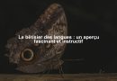 Le bêtisier des langues : un aperçu fascinant et instructif