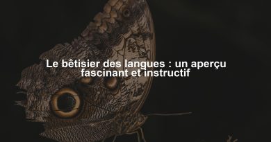 Le bêtisier des langues : un aperçu fascinant et instructif