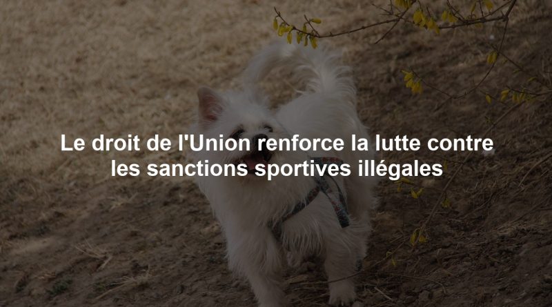 Le droit de l'Union renforce la lutte contre les sanctions sportives illégales