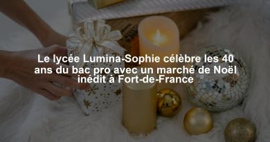 Le lycée Lumina-Sophie célèbre les 40 ans du bac pro avec un marché de Noël inédit à Fort-de-France