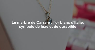 Le marbre de Carrare : l'or blanc d'Italie, symbole de luxe et de durabilité
