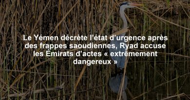 Le Yémen décrète l’état d’urgence après des frappes saoudiennes, Ryad accuse les Émirats d’actes « extrêmement dangereux »
