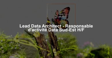 Lead Data Architect - Responsable d'activité Data Sud-Est H/F