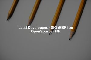Lead Developpeur SIG (ESRI ou OpenSource) F/H