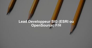 Lead Developpeur SIG (ESRI ou OpenSource) F/H