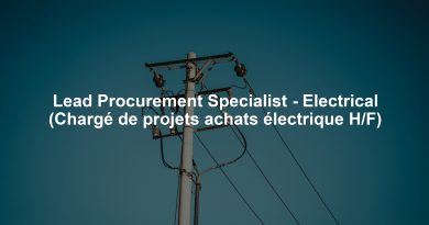 Lead Procurement Specialist - Electrical (Chargé de projets achats électrique H/F)