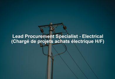 Lead Procurement Specialist - Electrical (Chargé de projets achats électrique H/F)
