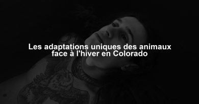 Les adaptations uniques des animaux face à l'hiver en Colorado
