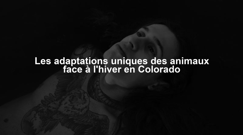 Les adaptations uniques des animaux face à l'hiver en Colorado