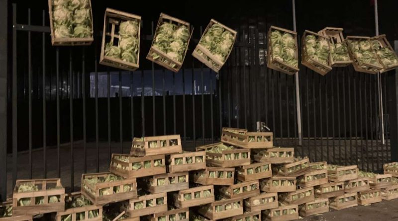 les agriculteurs rentrent dans le chou !  – Rennes Info Autrement