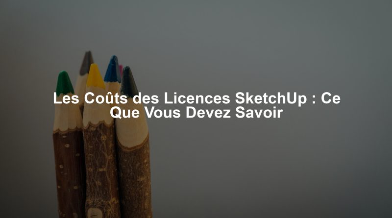 Les Coûts des Licences SketchUp : Ce Que Vous Devez Savoir
