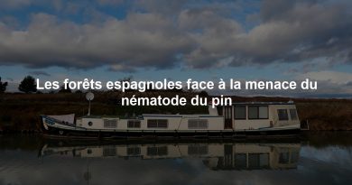 Les forêts espagnoles face à la menace du nématode du pin