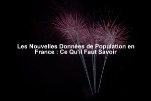 Les Nouvelles Données de Population en France : Ce Qu'il Faut Savoir