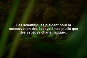 Les scientifiques plaident pour la conservation des écosystèmes plutôt que des espèces charismatiques