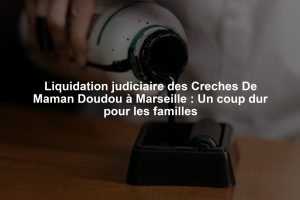 Liquidation judiciaire des Creches De Maman Doudou à Marseille : Un coup dur pour les familles