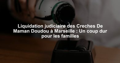 Liquidation judiciaire des Creches De Maman Doudou à Marseille : Un coup dur pour les familles