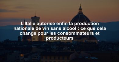 L’Italie autorise enfin la production nationale de vin sans alcool : ce que cela change pour les consommateurs et producteurs L’Italie autorise enfin la production nationale de vin sans alcool : ce que cela change pour les consommateurs et producteurs