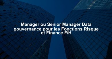 Manager ou Senior Manager Data gouvernance pour les Fonctions Risque et Finance F/H