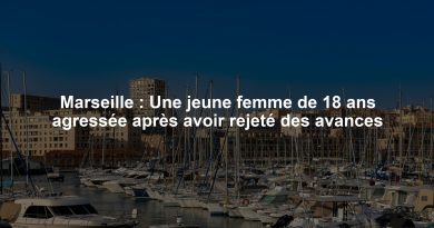 Marseille : Une jeune femme de 18 ans agressée après avoir rejeté des avances