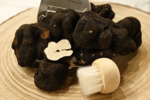 Les truffes deviennent rares et coûtent 1100 euros le kilo sur les marchés de Noël