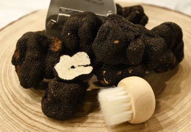 Les truffes deviennent rares et coûtent 1100 euros le kilo sur les marchés de Noël