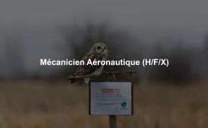 Mécanicien Aéronautique (H/F/X)
