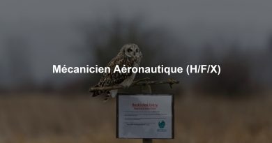Mécanicien Aéronautique (H/F/X)