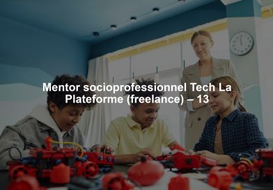 Mentor socioprofessionnel Tech La Plateforme (freelance) – 13