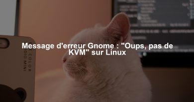 Message d'erreur Gnome : "Oups, pas de KVM" sur Linux