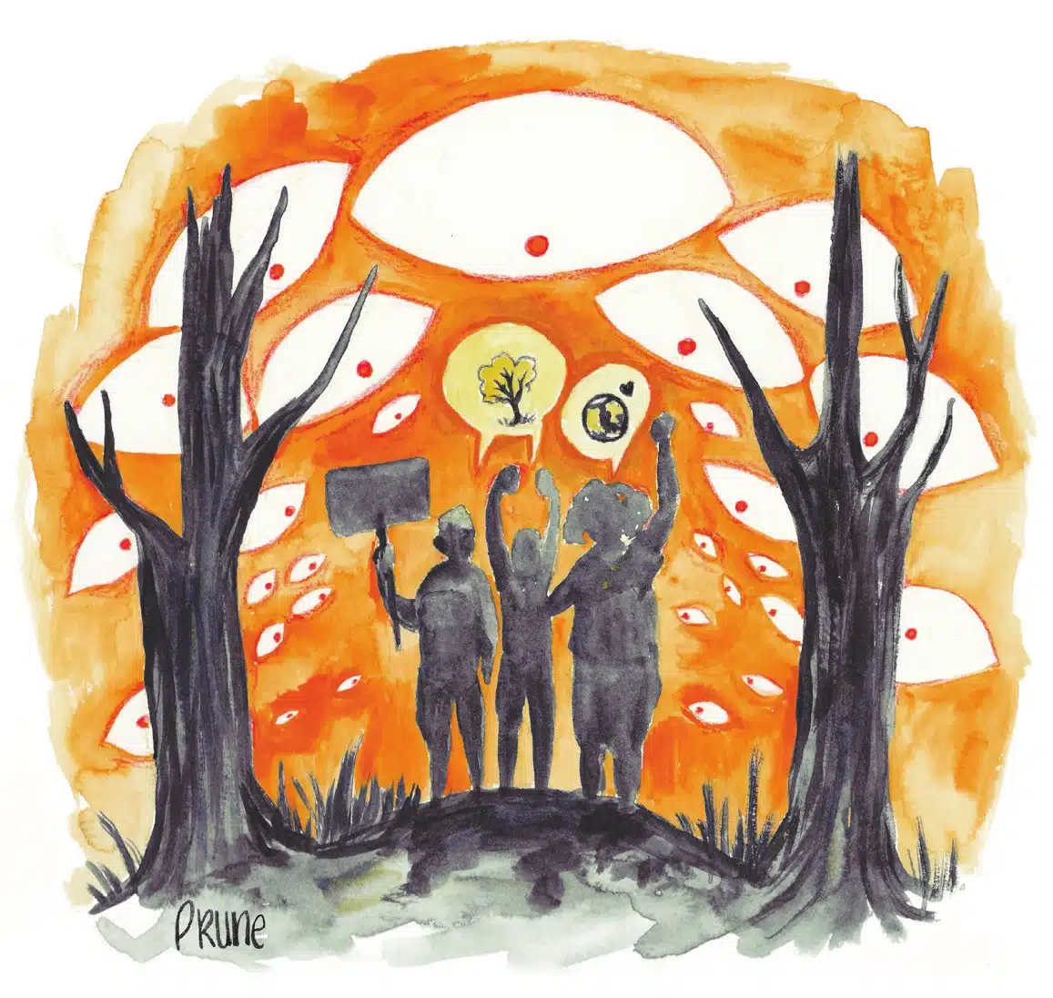 Millevaches : des militants écolos placés sous surveillance sur le plateau