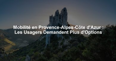 Mobilité en Provence-Alpes-Côte d'Azur : Les Usagers Demandent Plus d'Options