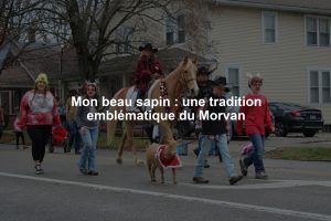 Mon beau sapin : une tradition emblématique du Morvan