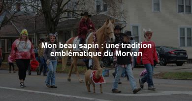 Mon beau sapin : une tradition emblématique du Morvan