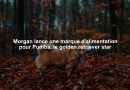 Morgan lance une marque d'alimentation pour Pumba, le golden retriever star