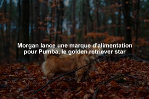 Morgan lance une marque d'alimentation pour Pumba, le golden retriever star