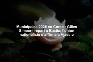 Municipales 2026 en Corse : Gilles Simeoni repart à Bastia, l’union nationaliste s’affirme à Ajaccio