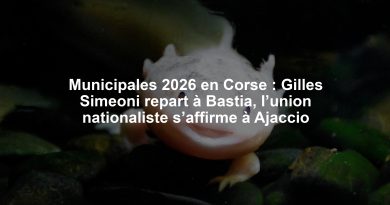 Municipales 2026 en Corse : Gilles Simeoni repart à Bastia, l’union nationaliste s’affirme à Ajaccio