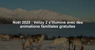 Noël 2025 : Vélizy 2 s'illumine avec des animations familiales gratuites