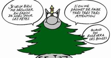 GénérationBD vous souhaite un joyeux Noël et partage ses projets pour 2024 !