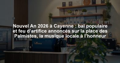Nouvel An 2026 à Cayenne : bal populaire et feu d’artifice annoncés sur la place des Palmistes, la musique locale à l’honneur