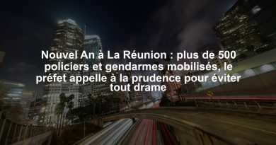 Nouvel An à La Réunion : plus de 500 policiers et gendarmes mobilisés, le préfet appelle à la prudence pour éviter tout drame
