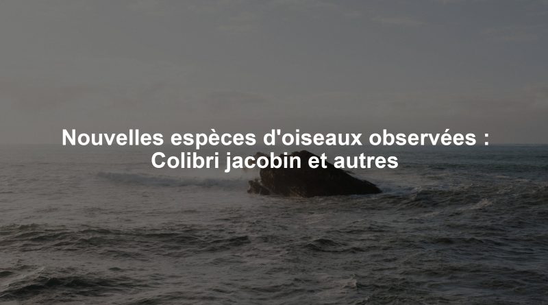 Nouvelles espèces d'oiseaux observées : Colibri jacobin et autres
