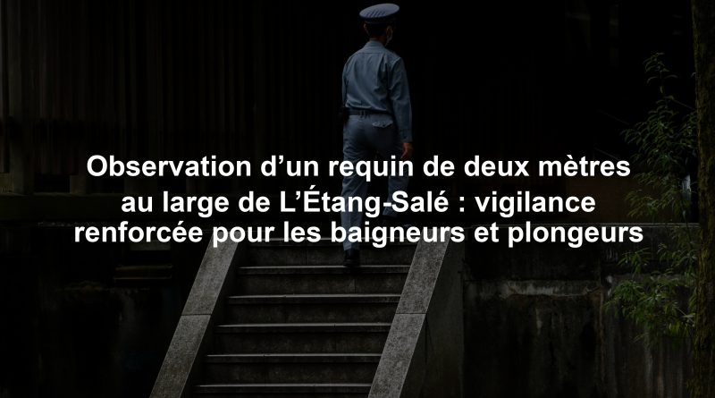 Observation d’un requin de deux mètres au large de L’Étang-Salé : vigilance renforcée pour les baigneurs et plongeurs