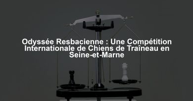Odyssée Resbacienne : Une Compétition Internationale de Chiens de Traîneau en Seine-et-Marne